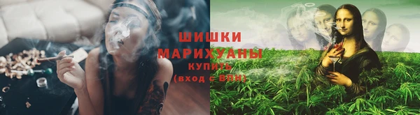 дмт Михайловск